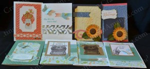 B&T_scraps_cards